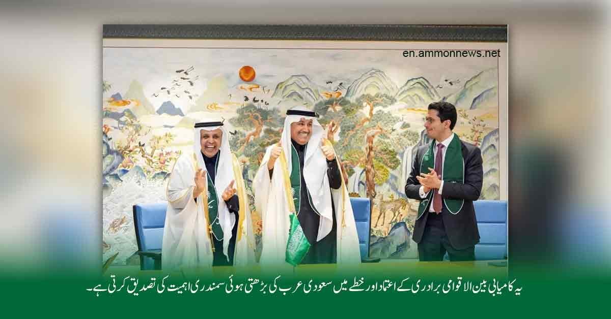 Saudi Arabia IMO Council 2026–2027