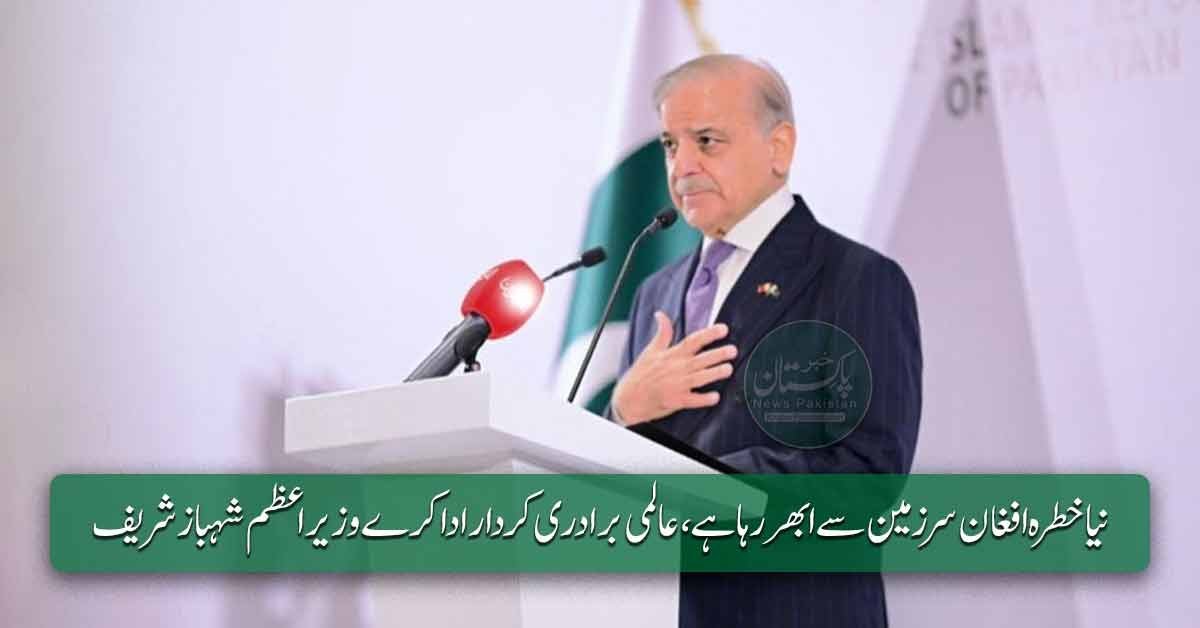 ترکمانستان میں عالمی فورم سے خطاب کرتے ہوئے وزیراعظم شہباز شریف